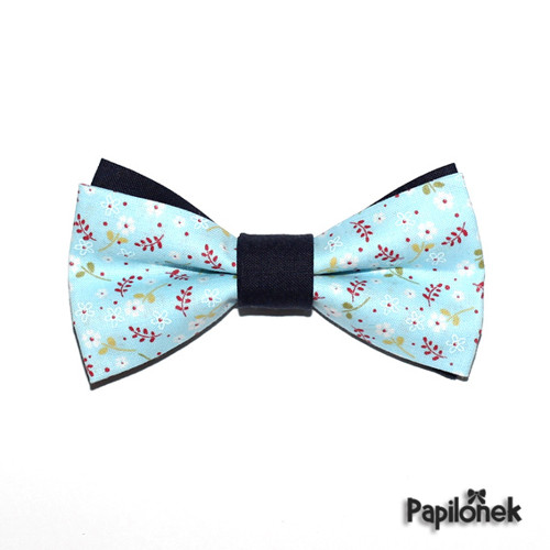 Pánský motýlek - Papilónek květinkáč — foto 1