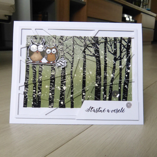 Vánoční přání sovy — foto 1