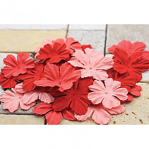 E Line Flowers Red 300418 - scrapbook — foto 1