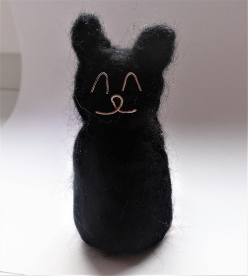 Kocour Fous — foto 1