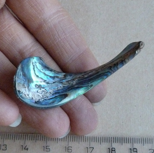Perleť Paua - 5,5 x 2,2 x 0,5 cm — foto 1