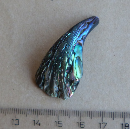 Perleť Paua - 4,7 x 2,2 x 0,4 cm — foto 1