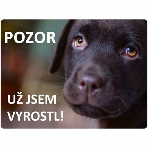 Výstražná cedulka se psem 20x15cm