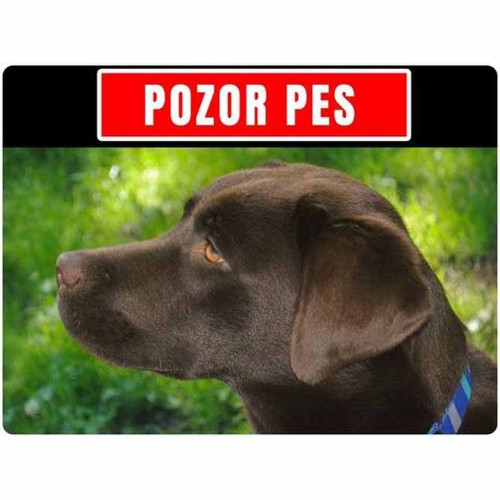 Výstražná cedulka se psem 20x15cm