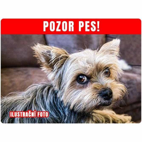 Výstražná cedulka se psem 20x15cm — foto 1