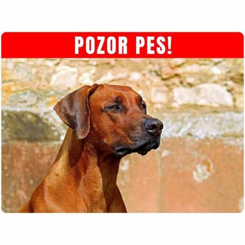 Výstražná cedulka se psem 20x15cm