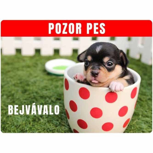 Výstražná cedulka se psem 20x15cm
