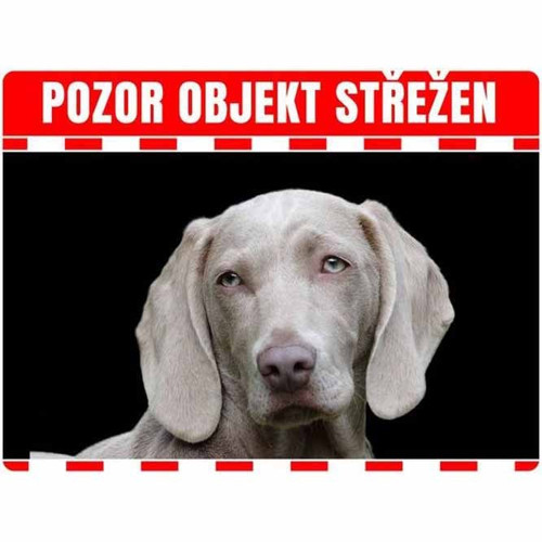 Výstražná cedulka se psem 20x15cm
