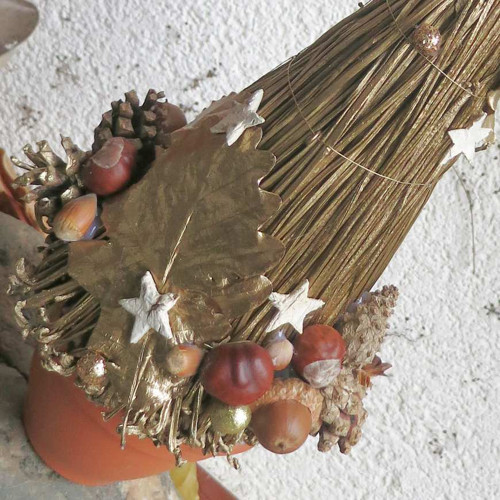 Stromeček-Zlaté proutí — foto 1