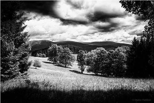 Planina