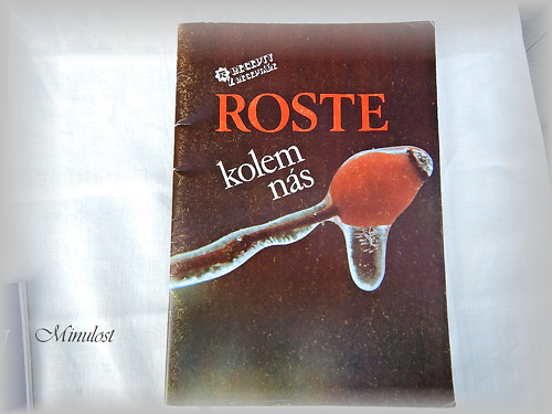 Co roste kolem nás — foto 1