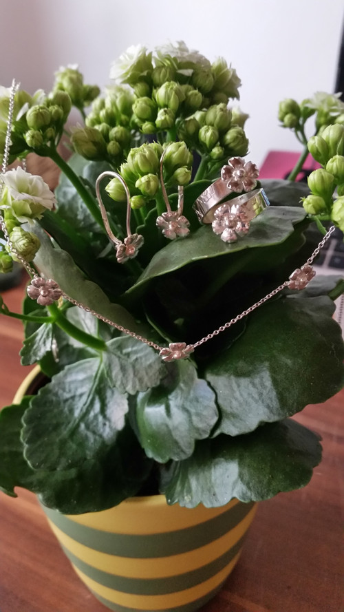 Souprava na přání — foto 1