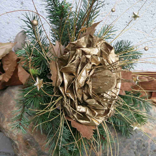 Kytice-Vánoční exotika — foto 1