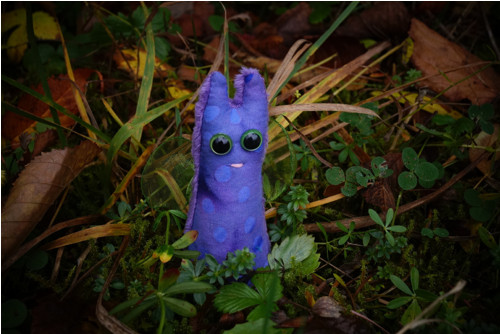 Lavender — foto 1