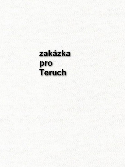 Zakázka- noční košile pro Teruch — foto 1