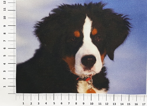 KEPR - panel (7K13/14) — foto 1