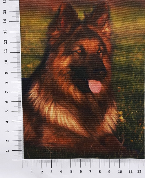 KEPR - panel (7K13/1) — foto 1