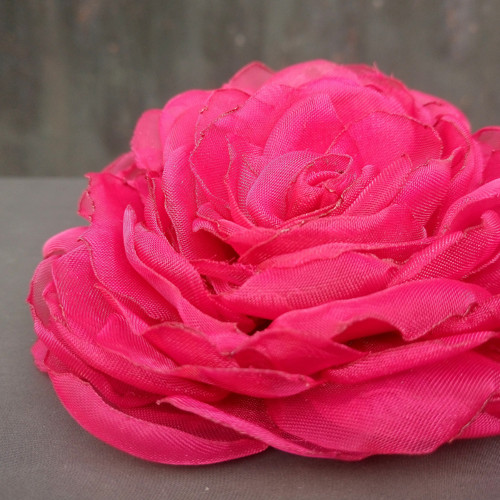 Raspberry — foto 1