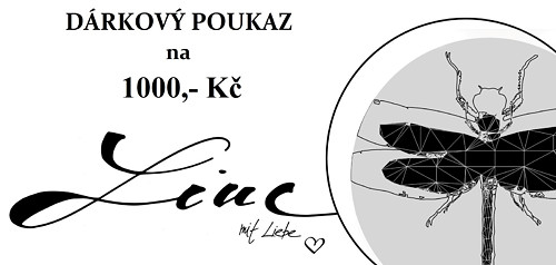 DÁRKOVÝ POUKAZ 1000,- Kč — foto 1