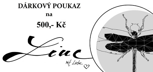 DÁRKOVÝ POUKAZ 500,- Kč — foto 1