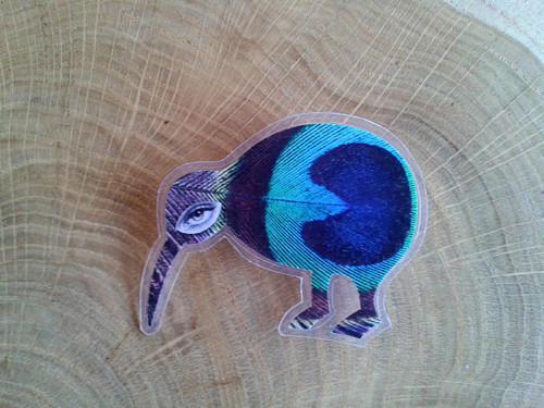Kiwi ptáček — foto 1