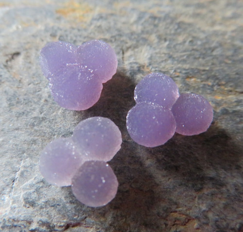 Třpytivý Grape Chalcedon Indonésie set č.2 — foto 1