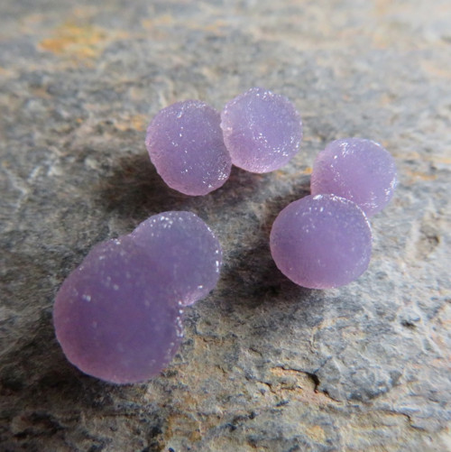 Třpytivý Grape Chalcedon Indonésie set č.5 — foto 1
