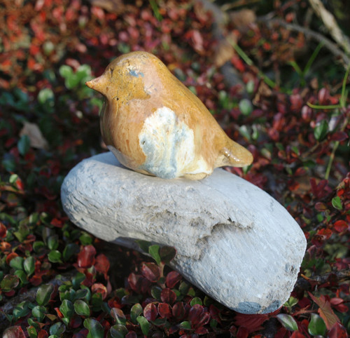 Driftwood a ptáček — foto 1