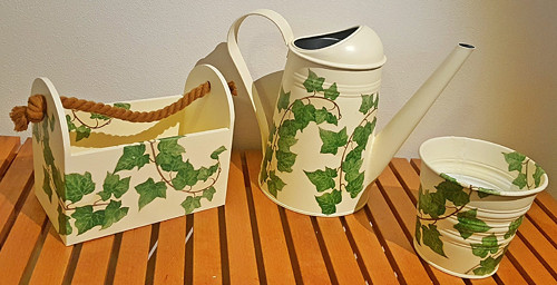 VÝPRODEJ: Dárková sada (SLEVA 50%) - Břečťan — foto 1