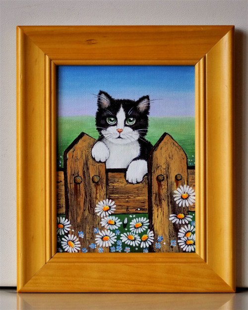 Koťátko — foto 1
