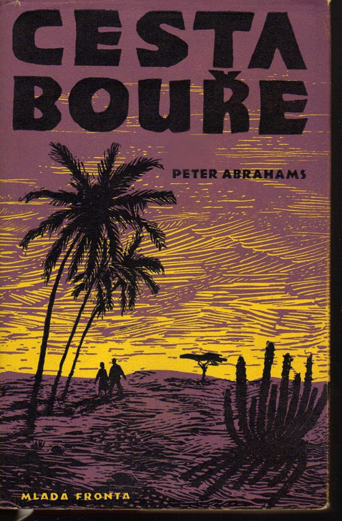 Cesta bouře Peter Abrahams — foto 1