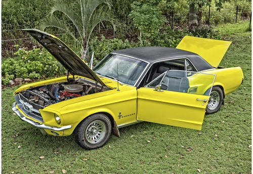Panel 16x11cm Žlutý Mustang — foto 1