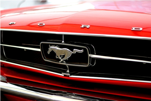 Panel 30x20cm Mustang — foto 1