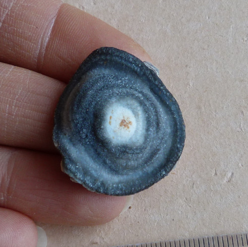 Chalcedon Hadí oko - 2,9 cm — foto 1