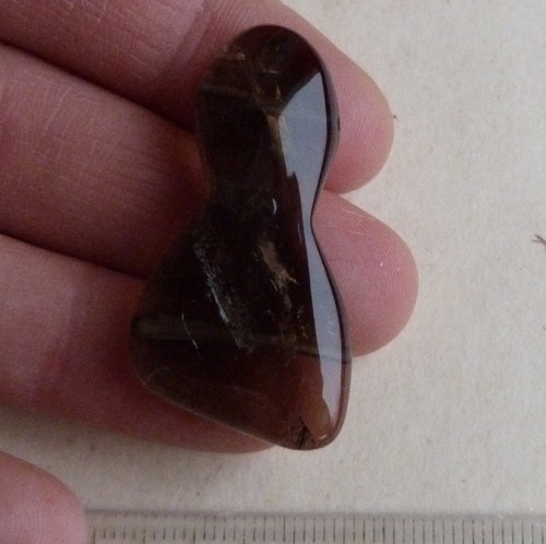 Záhněda vrtaná - 4 cm (Z2) — foto 1