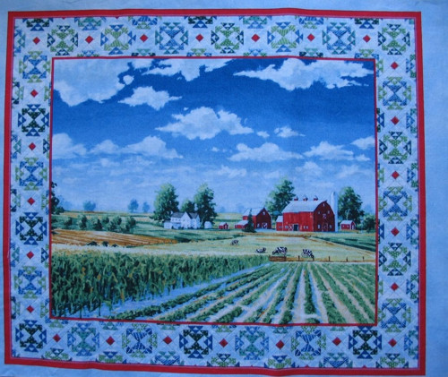 Panel 35 x 29 farma — foto 1