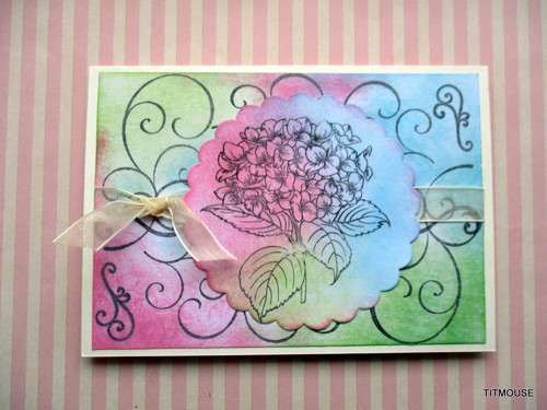 Candy Wish — foto 1