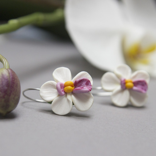Orchideje (chirur. ocel) — foto 1