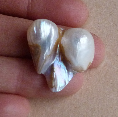 Perla kultivovaná - 2,7 cm — foto 1