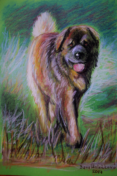 Leonberger - autorský arch — foto 1