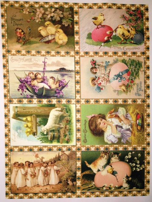 Bavlněný panel - sada 40 x 53 cm