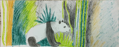 Panda — foto 1