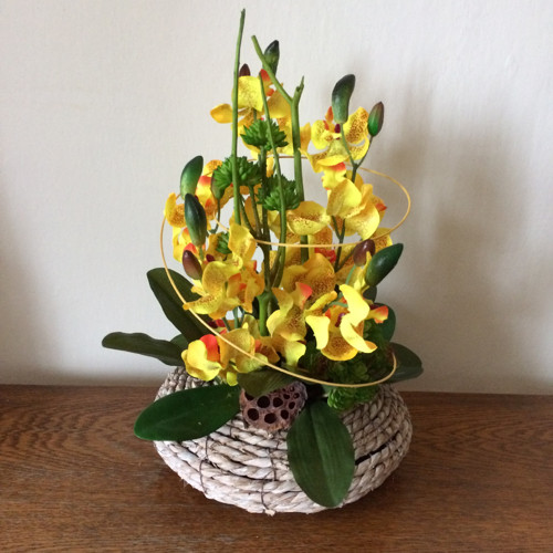 Orchideje v proutí — foto 1