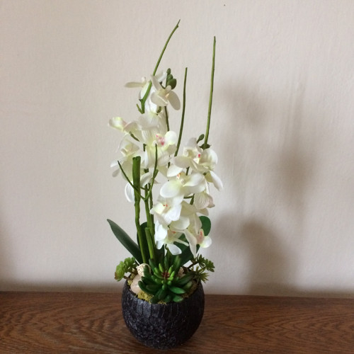 Orchideje v keramice — foto 1