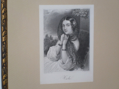 Adolf Theer: Viola (rytina v rámečku) — foto 1