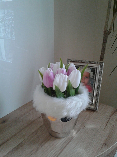 Tulipány v teple — foto 1
