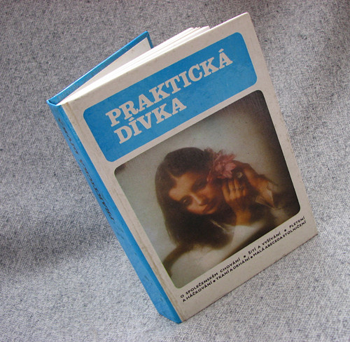 Praktická dívka, D. Přibylová, 1986