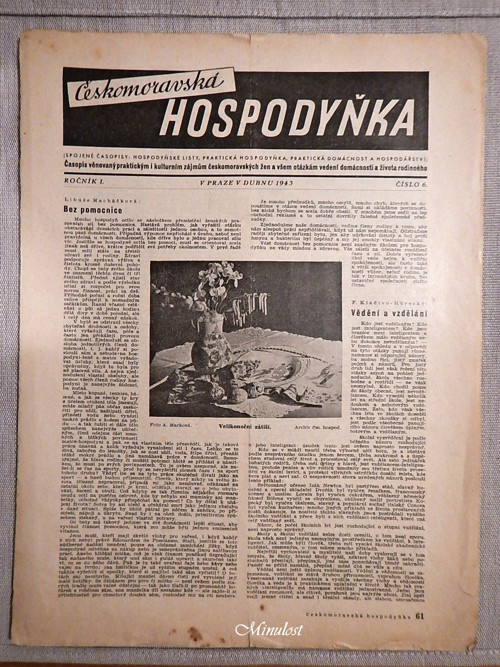 Českomoravská HOSPODYŇKA, — foto 1
