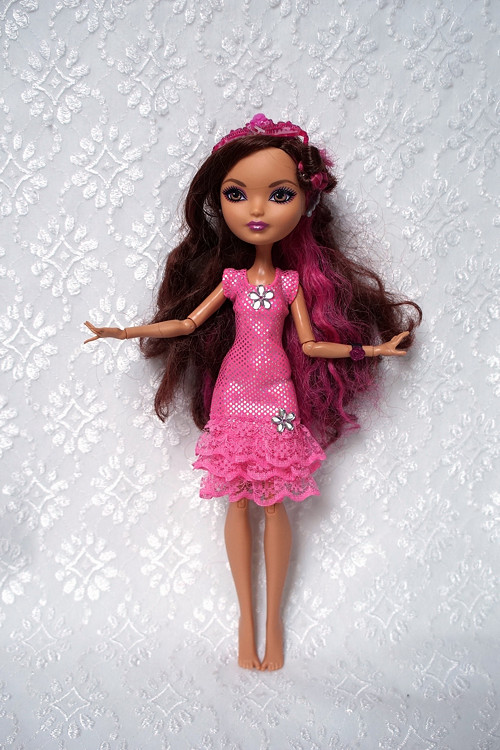 Šaty pro MH / Ever After High — foto 1