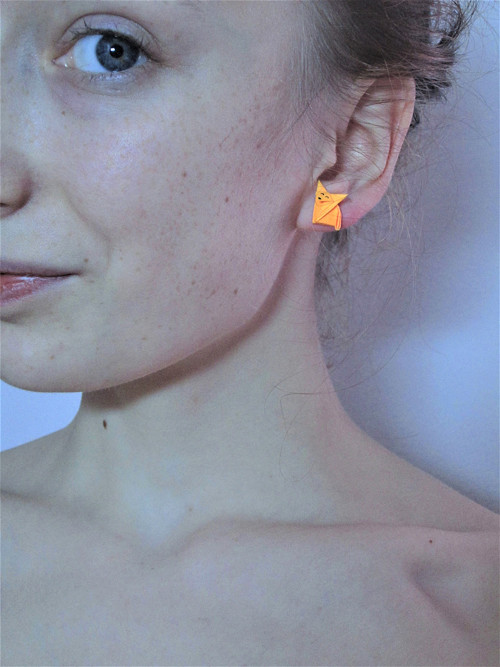 Liška mazaná — foto 1